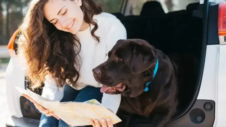 Viajar con tu Perro