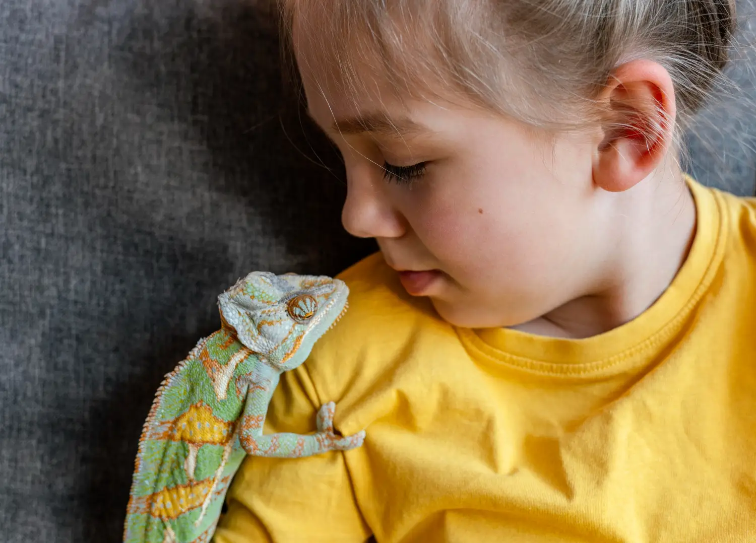 reptiles para niños