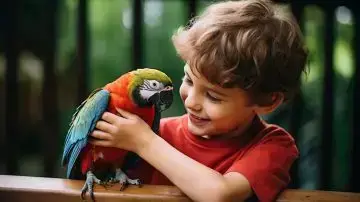 loro anciano