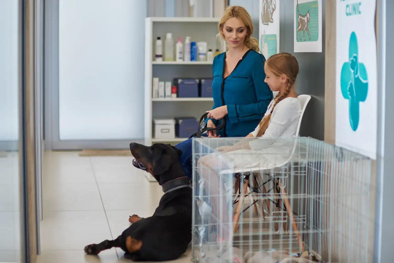 guardería para perros