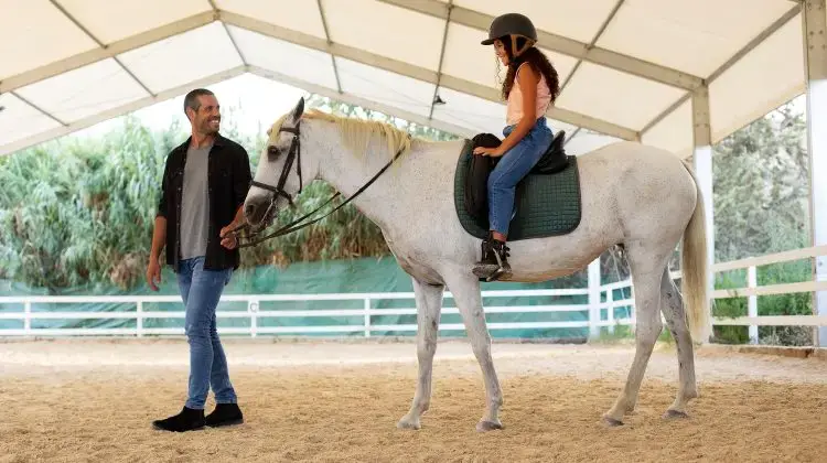 entrenamiento caballo