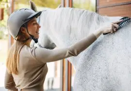 estrés en los caballos