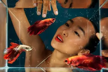 acuario peces pequeños