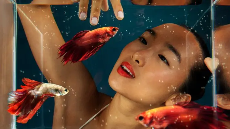 acuario peces pequeños