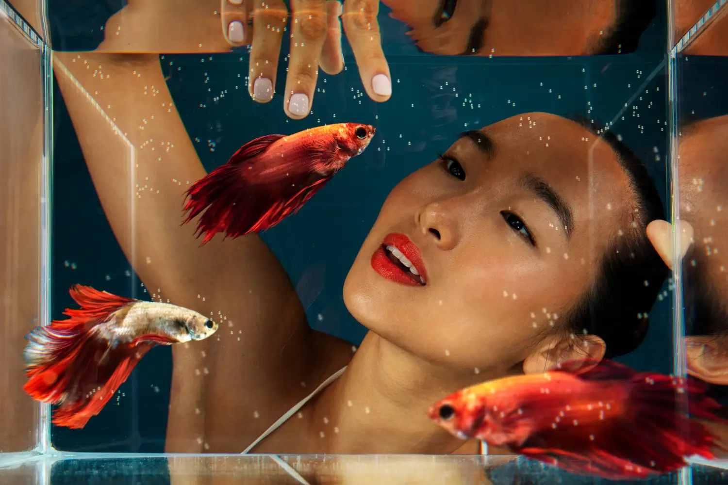 acuario peces pequeños